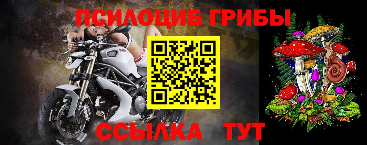 Псилоцибиновые грибы прущие грибы Ноябрьск