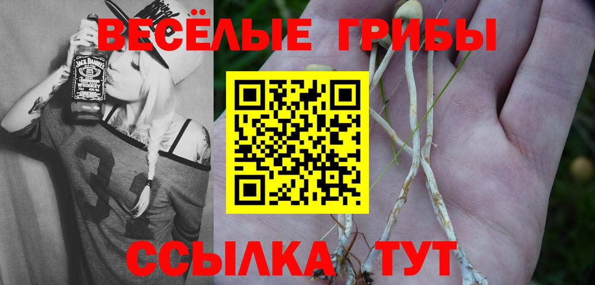 Ноябрьск  Галлюциногенные грибы ЛСД  Вход с VPN 